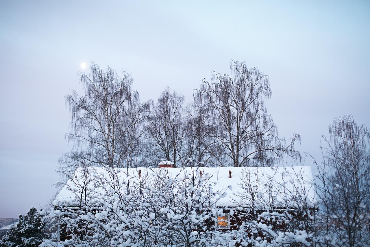 Helsingegarden Hostel Järvsö Εξωτερικό φωτογραφία