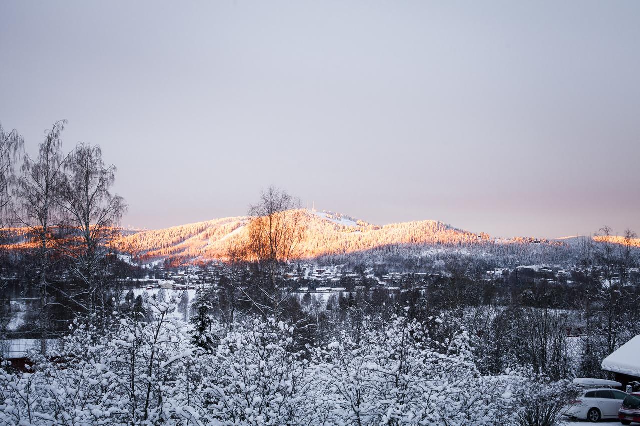 Helsingegarden Hostel Järvsö Εξωτερικό φωτογραφία