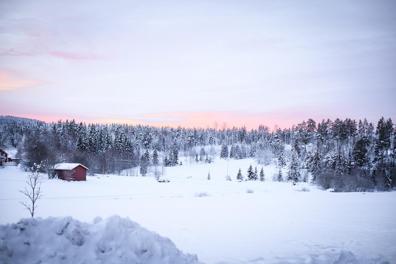 Helsingegarden Hostel Järvsö Εξωτερικό φωτογραφία