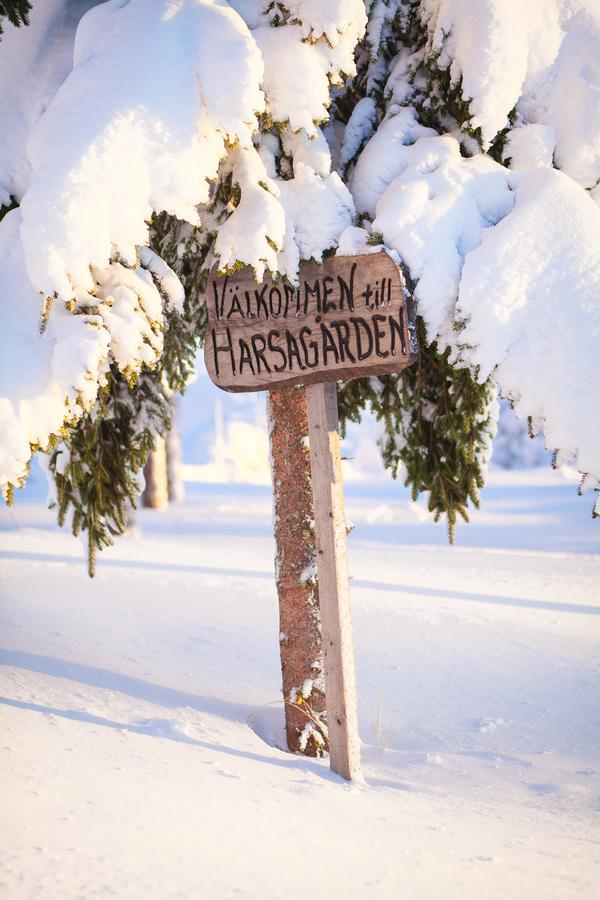 Helsingegarden Hostel Järvsö Εξωτερικό φωτογραφία